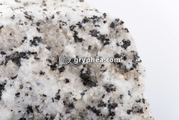 Granite sain - gryphea.com